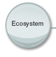 Ecosystem